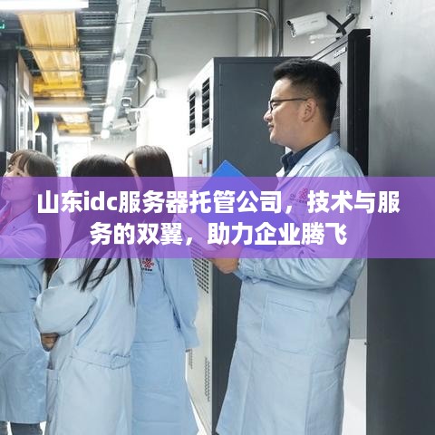 山东idc服务器托管公司，技术与服务的双翼，助力企业腾飞