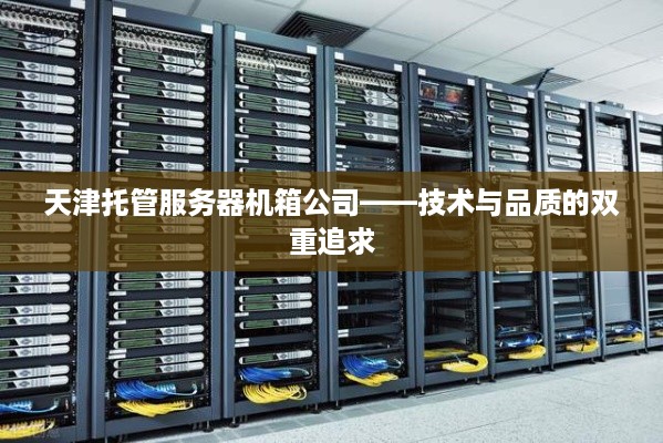 天津托管服务器机箱公司——技术与品质的双重追求