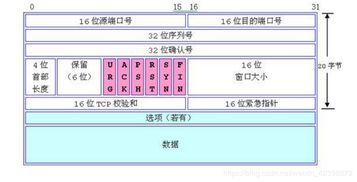 构建高效服务器资源托管申请制度