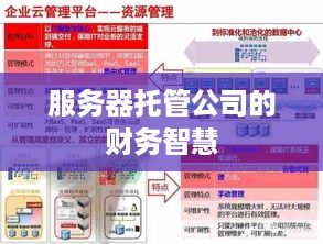 服务器托管公司的财务智慧