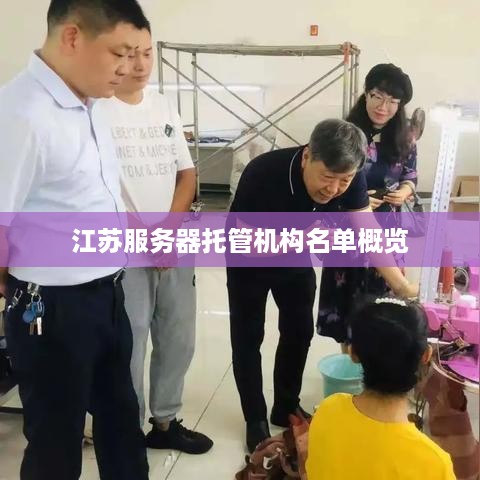 江苏服务器托管机构名单概览