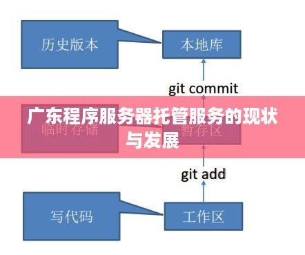 广东程序服务器托管服务的现状与发展