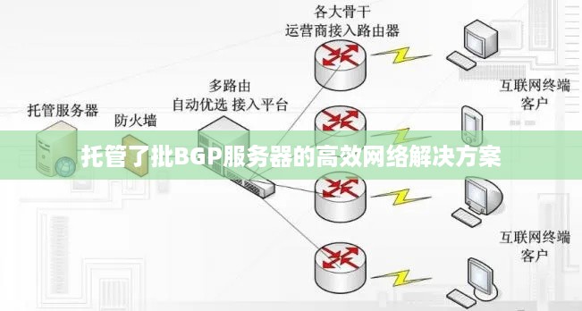 托管了批BGP服务器的高效网络解决方案