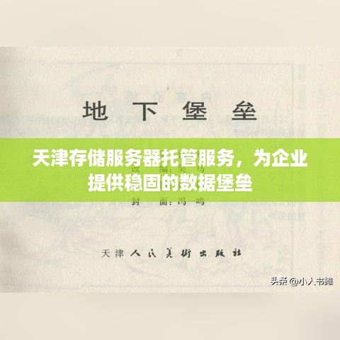 天津存储服务器托管服务，为企业提供稳固的数据堡垒