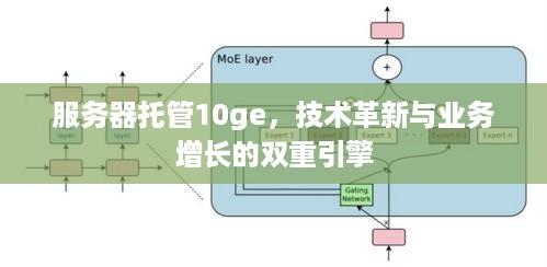 服务器托管10ge，技术革新与业务增长的双重引擎