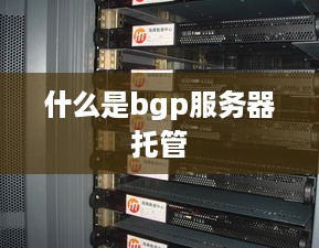 什么是bgp服务器托管