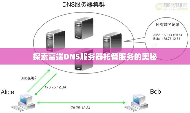 探索高端DNS服务器托管服务的奥秘