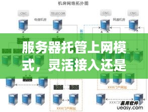 服务器托管上网模式，灵活接入还是成本考量