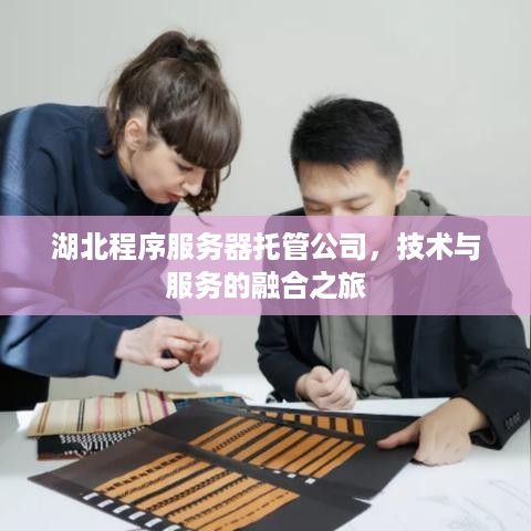 湖北程序服务器托管公司，技术与服务的融合之旅