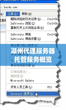 湖州代理服务器托管服务概览