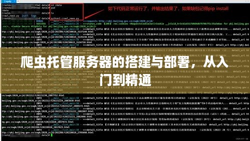 爬虫托管服务器的搭建与部署，从入门到精通