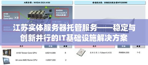 江苏实体服务器托管服务——稳定与创新并行的IT基础设施解决方案