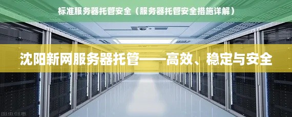 沈阳新网服务器托管——高效、稳定与安全