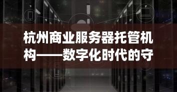 杭州商业服务器托管机构——数字化时代的守护者