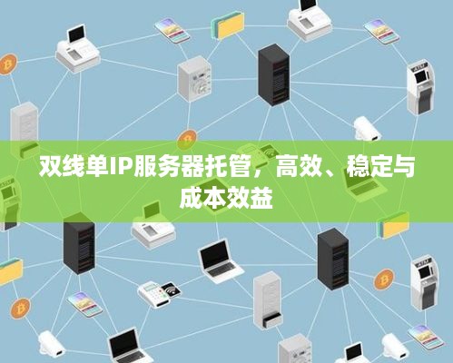 双线单IP服务器托管，高效、稳定与成本效益