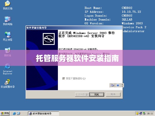 托管服务器软件安装指南