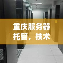 重庆服务器托管，技术支撑下的稳定与创新