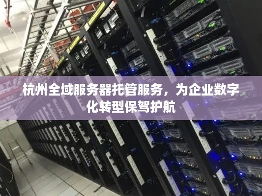 杭州全域服务器托管服务，为企业数字化转型保驾护航