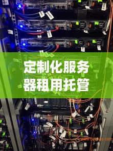 定制化服务器租用托管——满足企业多样化需求的解决方案