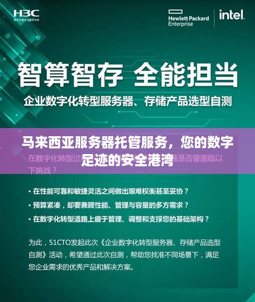 马来西亚服务器托管服务，您的数字足迹的安全港湾