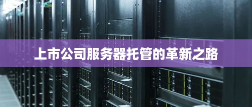 上市公司服务器托管的革新之路