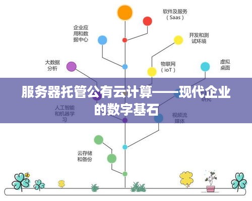 服务器托管公有云计算——现代企业的数字基石