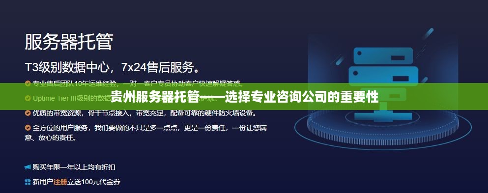 贵州服务器托管——选择专业咨询公司的重要性