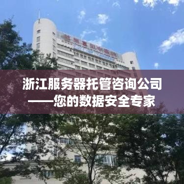 浙江服务器托管咨询公司——您的数据安全专家