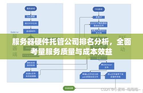 服务器硬件托管公司排名分析，全面考量服务质量与成本效益