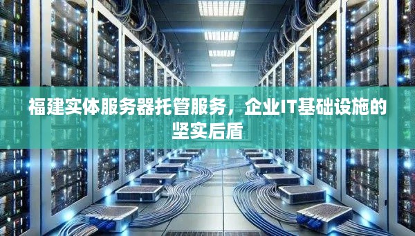 福建实体服务器托管服务，企业IT基础设施的坚实后盾