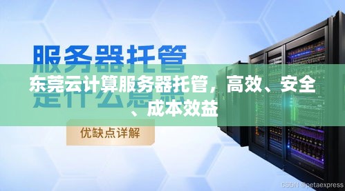 东莞云计算服务器托管，高效、安全、成本效益