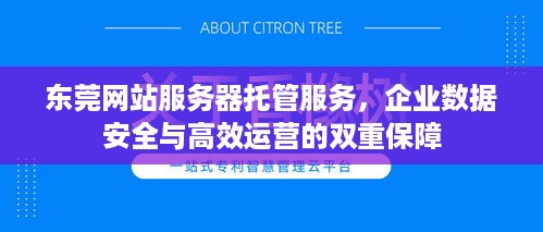 东莞网站服务器托管服务，企业数据安全与高效运营的双重保障