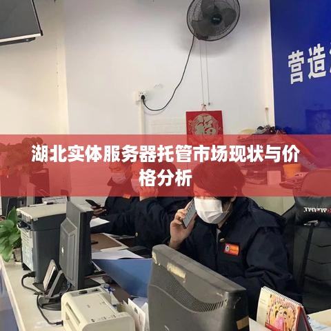 湖北实体服务器托管市场现状与价格分析