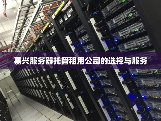 嘉兴服务器托管租用公司的选择与服务