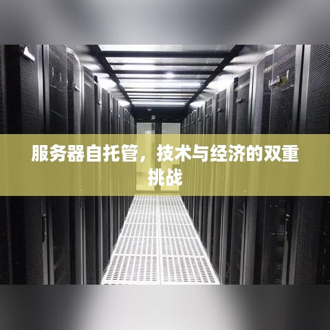 服务器自托管，技术与经济的双重挑战