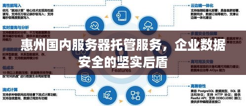 惠州国内服务器托管服务，企业数据安全的坚实后盾