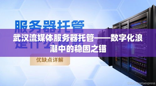 武汉流媒体服务器托管——数字化浪潮中的稳固之锚