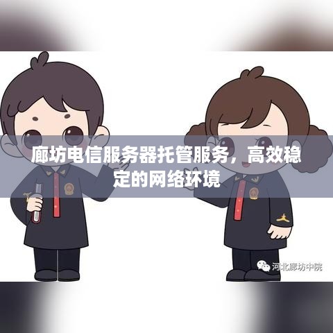 廊坊电信服务器托管服务，高效稳定的网络环境