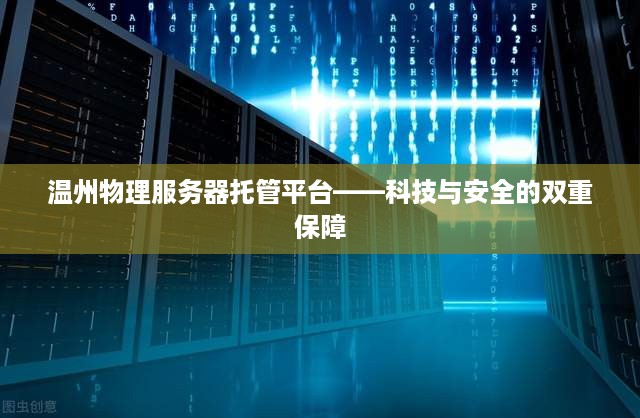 温州物理服务器托管平台——科技与安全的双重保障