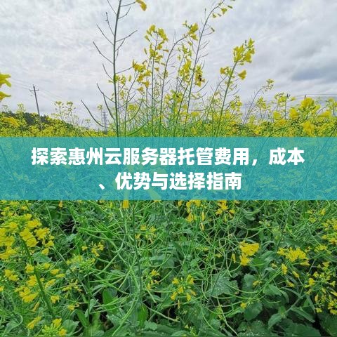 探索惠州云服务器托管费用，成本、优势与选择指南