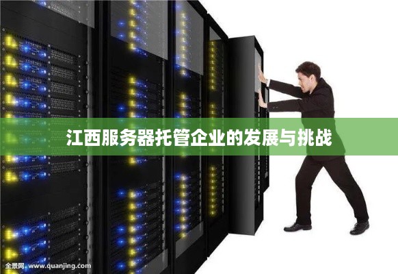 江西服务器托管企业的发展与挑战