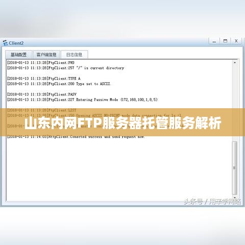 山东内网FTP服务器托管服务解析
