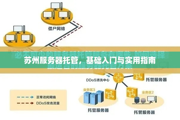 苏州服务器托管，基础入门与实用指南