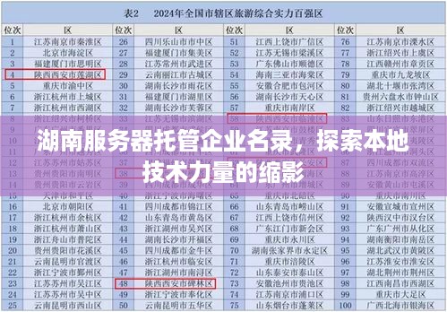 湖南服务器托管企业名录，探索本地技术力量的缩影