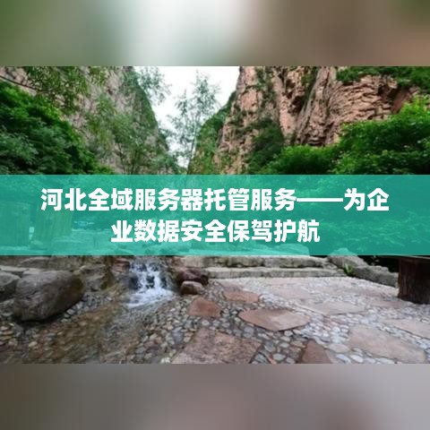 河北全域服务器托管服务——为企业数据安全保驾护航