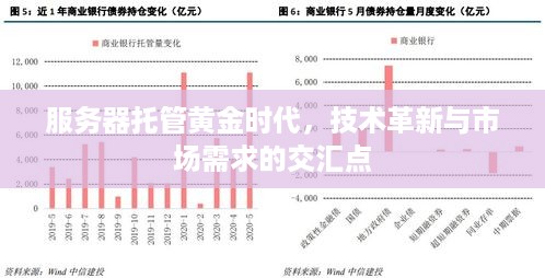 服务器托管黄金时代，技术革新与市场需求的交汇点