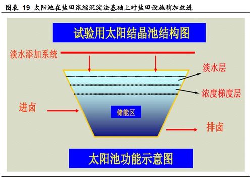 服务器托管黄金时代，技术革新与市场需求的交汇点