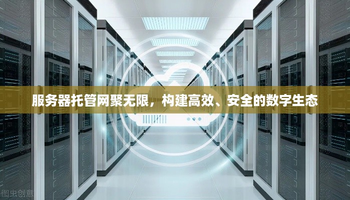 服务器托管网聚无限，构建高效、安全的数字生态