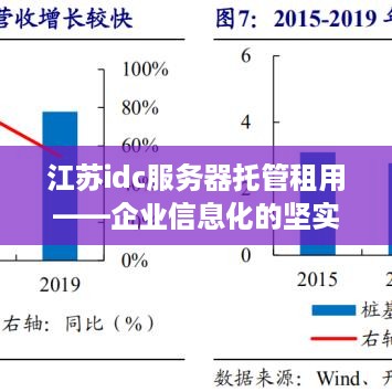 江苏idc服务器托管租用——企业信息化的坚实后盾