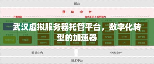 武汉虚拟服务器托管平台，数字化转型的加速器